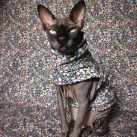 Doodles - Thumbnail 2