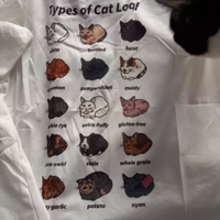 Cute Cat Loaf Cartoon Graphic Print White Short Sleeve T-shirt Aesthetic Casual E-Girl Kawaii Korean Japanese Harajuku - Thumbnail 7