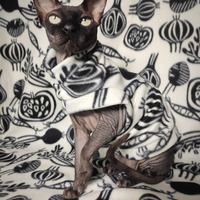 Chez Meow - Thumbnail 1