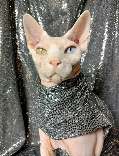 Sparkling Personality (Silver Black)