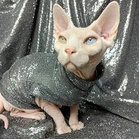 Sparkling Personality (Silver Black) - Thumbnail 2