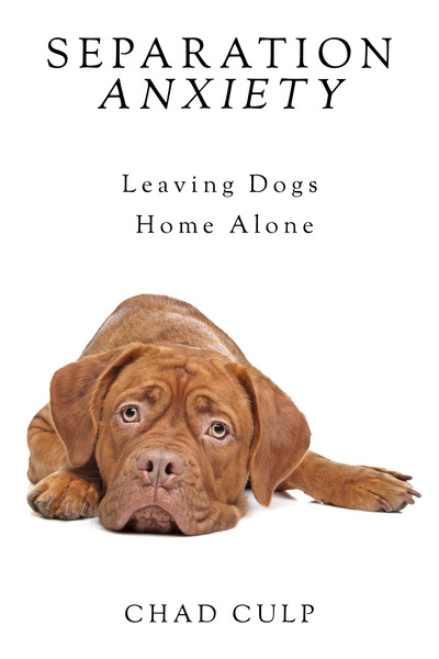 Separation Anxiety: Leaving Dogs Home Alone