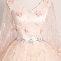 Pink v neck tulle long prom dress A line evening gown - Thumbnail 2