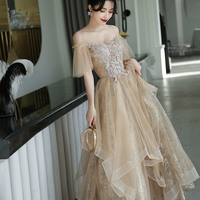 Champagne tulle lace long prom dress A line evening dress - Thumbnail 1