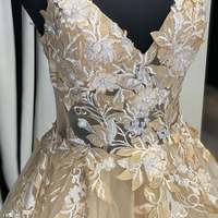 SP1960,Champagne V Neck Tulle Lace Long Prom Dress Beaded Applique Evening Dress - Thumbnail 1