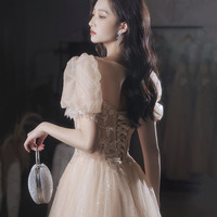 Champagne tulle lace long prom dress evening gown - Thumbnail 5