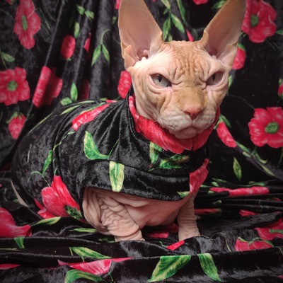 You don't bring me flowers