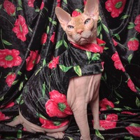 You Don't Bring Me Flowers - Thumbnail 1