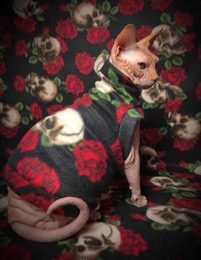 'Til Death Do Us Part