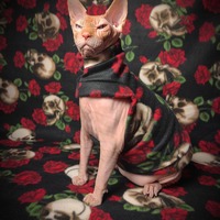 'Til Death Do Us Part - Thumbnail 2