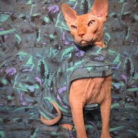 The Sweetest Taboo - Thumbnail 1