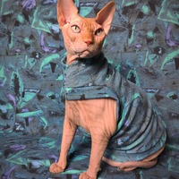 The Sweetest Taboo - Thumbnail 2