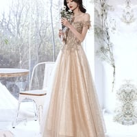 Champagne tulle lace long prom dress A line evening gown - Thumbnail 1
