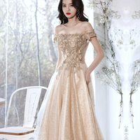 Champagne tulle lace long prom dress A line evening gown - Thumbnail 2