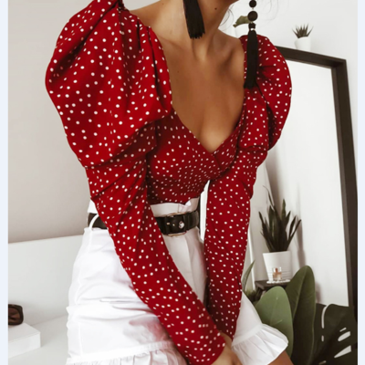 Sexy long sleeve puff sleeve print v-neck shirt top