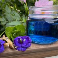 Blue Butterfly Pea Tea Seeds Double Flowered Premium Seed Packet - Thumbnail 3