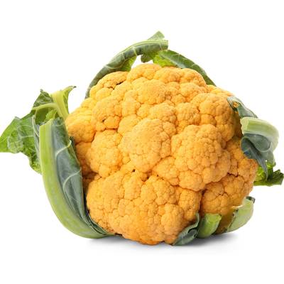 Cheddar orange cauliflower premium seed packet great for kids!