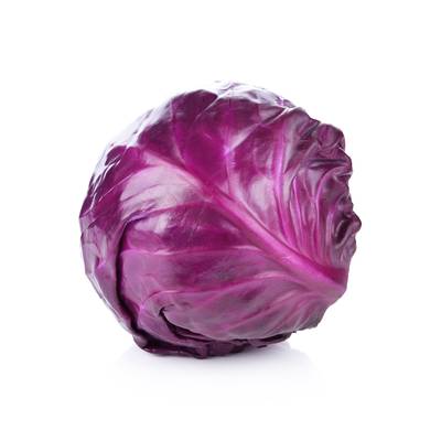 Red acre early maturing cabbage heirloom premium seed packet