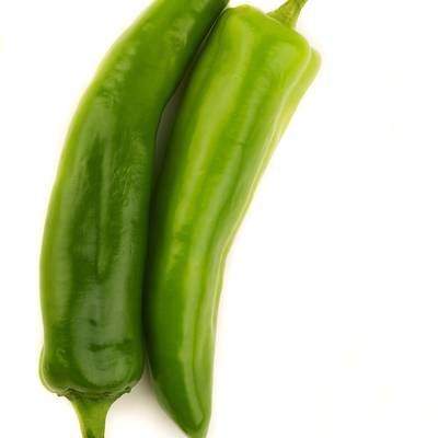 Numex lumbre spicy fire new mexico hatch chile pepper premium seed packet