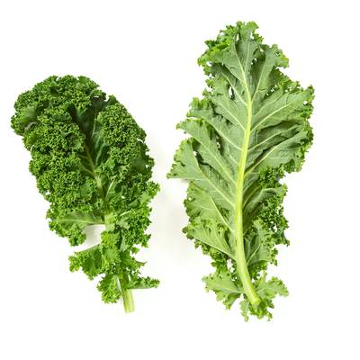 Dwarf vates curly green kale curled broccoli premium seed packet