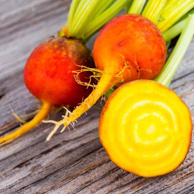 Burpees golden yellow beet pickling pickled heirloom premium seed packet