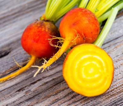 Burpees Golden Yellow Beet Pickling Pickled Heirloom Premium Seed Packet