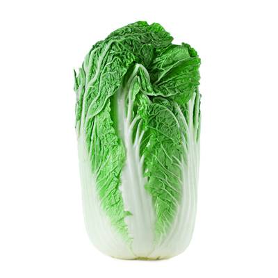 Napa cabbage chinese korean wombok kimchi hakusai heirloom premium seed packet