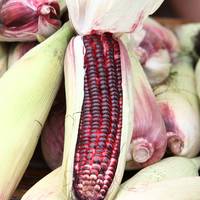Ruby Red Queen Sweet Corn Anthocyanin Antioxidents - Thumbnail 1