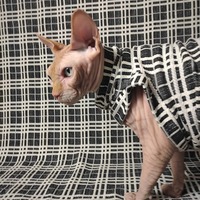 Window Pain Plaid - Thumbnail 2