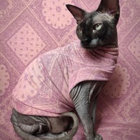 Too Mauvelous For Words - Thumbnail 1