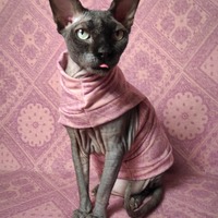 Too Mauvelous For Words - Thumbnail 2