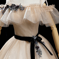 Champagne tulle sequins long prom dress formal dress - Thumbnail 1