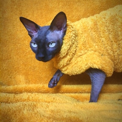 Marigold bathrobe - Thumbnail 4