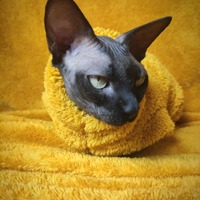 Marigold Bathrobe - Thumbnail 1