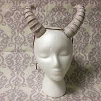 Bone White Ridged Horns - Thumbnail 1
