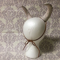 Bone White Ridged Horns - Thumbnail 2