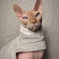 Flashdance - Rolled Collar Yeezus - Thumbnail 1