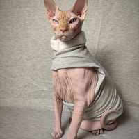 Flashdance - Rolled Collar Yeezus - Thumbnail 2