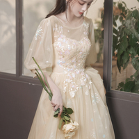 Champagne tulle lace long prom dress A line evening dress - Thumbnail 2