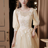 Champagne tulle lace long prom dress A line evening dress - Thumbnail 4