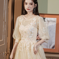 Champagne tulle lace long prom dress A line evening dress - Thumbnail 5