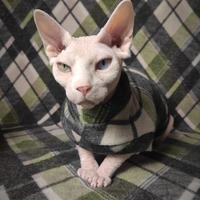 Fuzzy Jig - Thumbnail 1