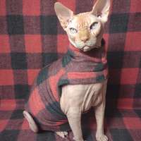 Fuzzy Red Buffalo - Thumbnail 1