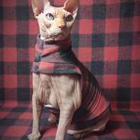 Fuzzy Red Buffalo - Thumbnail 2