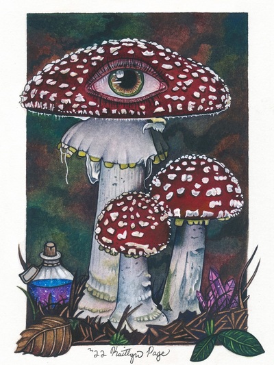 "Amanita Muscaria Mushroom" Print 