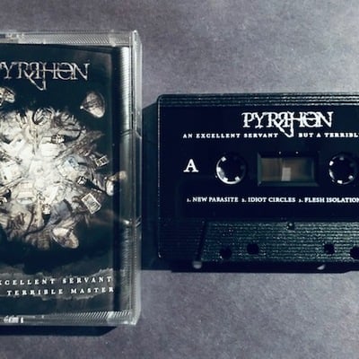 Pyrrhon - an excellent servant but a terrible master - Thumbnail 3