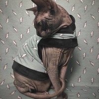 White Lightning - Thumbnail 1