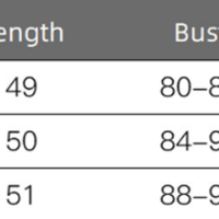 Long-Sleeve Chiffon Temperament Puff Sleeve Shirt Top - Thumbnail 4