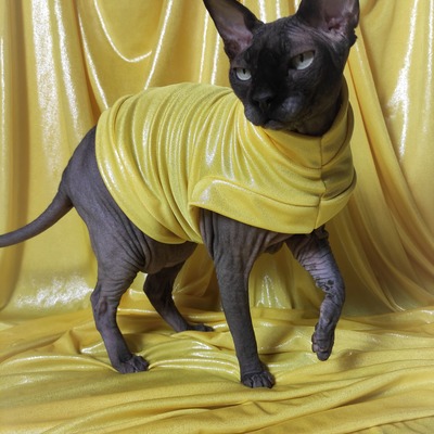 Easter eggs (yellow)