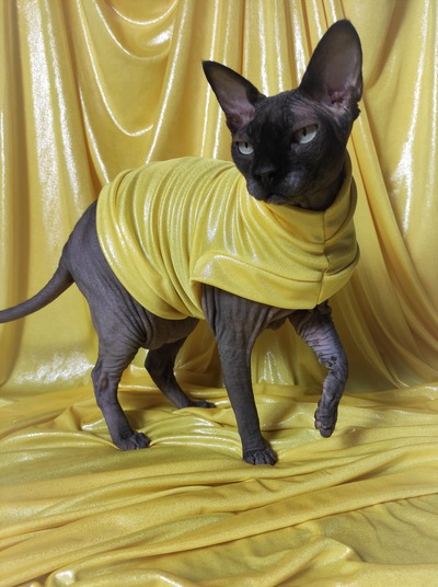 Easter Eggs (Yellow)